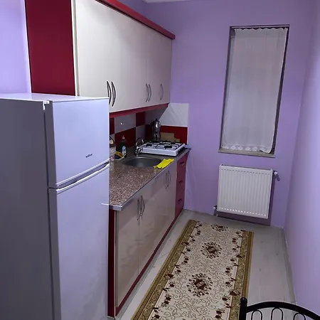 Dirilis Banarya Pansiyon